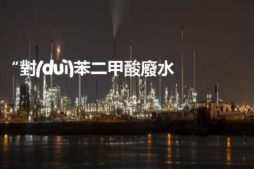 “對(duì)苯二甲酸廢水處理，綠色創(chuàng)新引領(lǐng)環(huán)保新篇章”